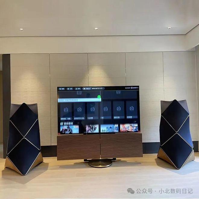 全球顶级音响十大名牌：bose、漫步者听觉盛宴你值得拥有！(图3)