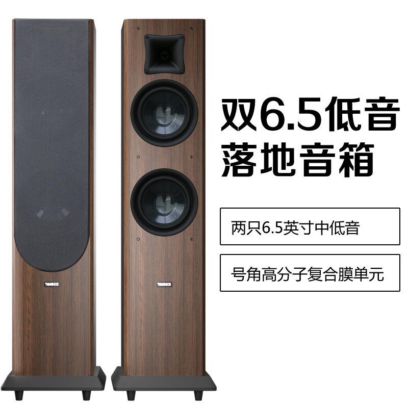 2024年音响系统十大品牌排行榜(图1)