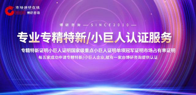 2024年中国智能电子乐器行业研究报告(图1)