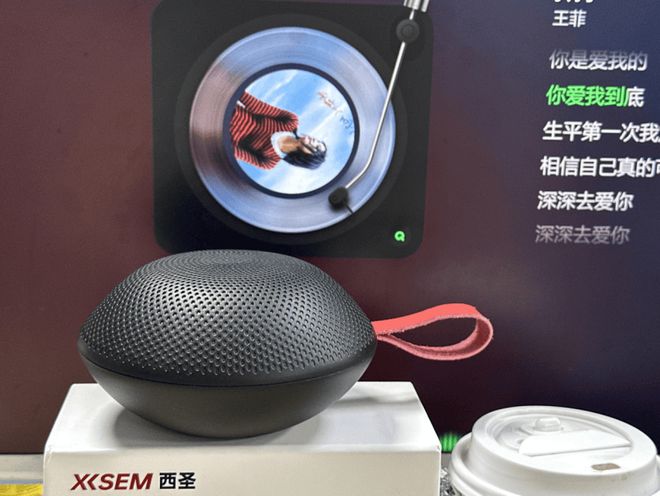 家用蓝牙音响哪个牌子性价比高？2024年好用实惠家用蓝牙音响推荐(图6)