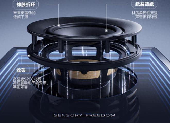 音质揭秘！连“万元烧”也感到困惑的真相！(图1)