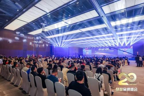 DAV01“2024年度音视频系统方案十大品牌”获奖名单揭晓！itc保伦股份荣耀上榜！(图1)