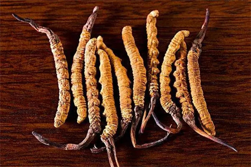 宜昌为何能有一批世界级农业：繁育虫草养殖鲟鱼柑橘魔芋深耕大健康(图1)