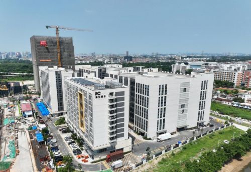 品牌为基创新为翼！itc保伦股份荣膺2024年度广东商标品牌建设优秀案例！(图2)