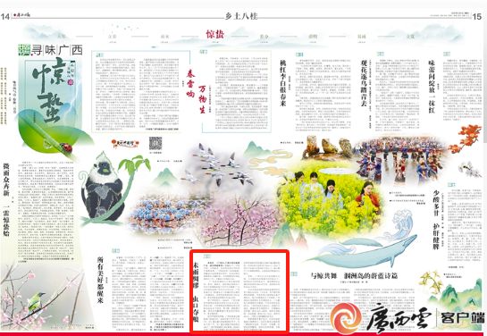 未雨绸缪 虫口夺粮｜广西植保专家提醒春耕春种须抓好病虫害防治(图4)
