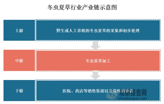 我国冬虫夏草人工繁育实现规模化 应用附加值提升带动市场扩容(图3)