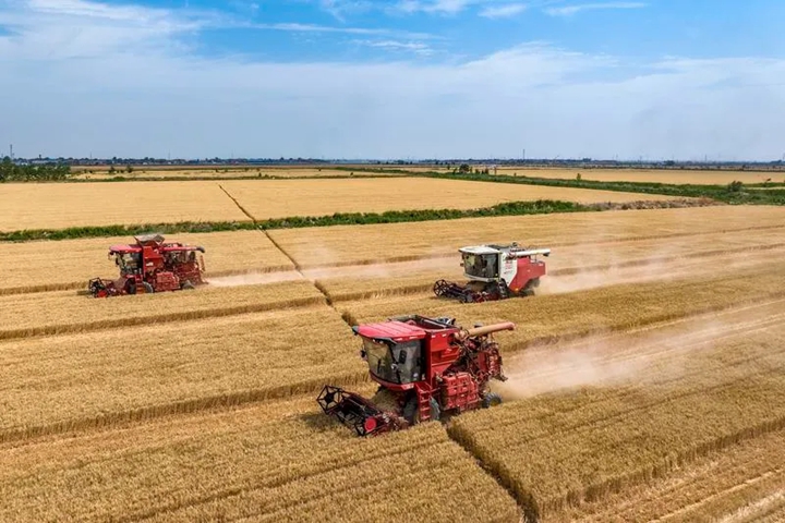 这130亩土地缘何备受关注？来看山西版口粮“吨粮田”的探索实践(图2)