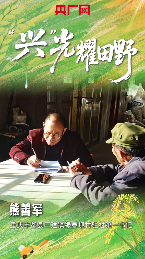 “兴”光耀田野｜一条木凳 百盏路灯 把实事“种”进村民心坎里(图1)