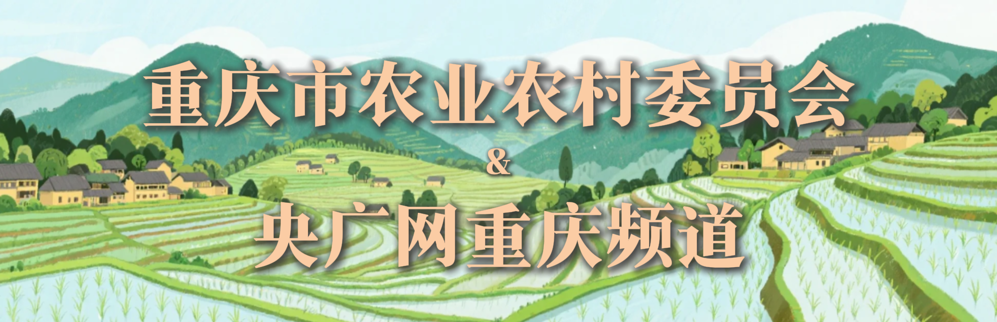 “兴”光耀田野｜一条木凳 百盏路灯 把实事“种”进村民心坎里(图8)