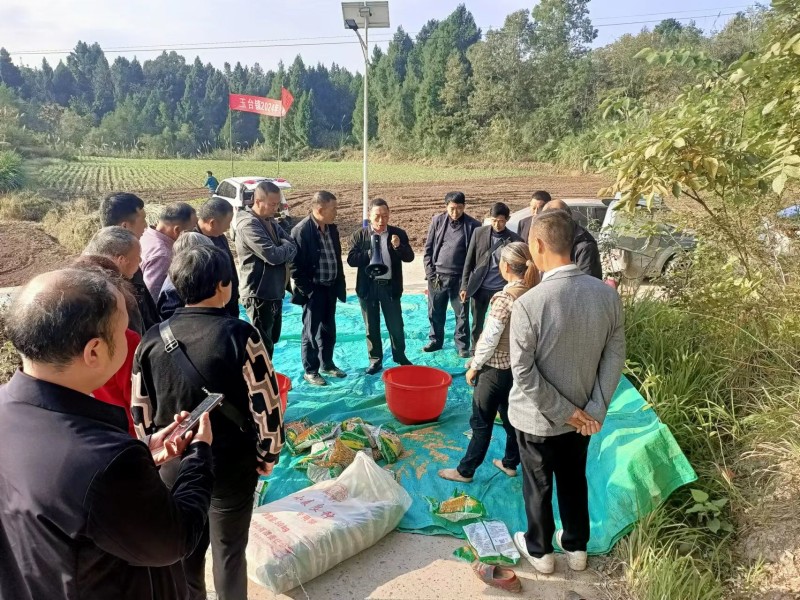 是色盲。还是法盲！三河市怎么就容不下三种颜色(图1)