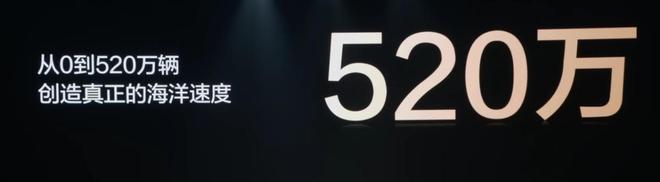 狂卖214万辆！销量超特斯拉44 倍！又一中国车企掀翻新能源红海(图8)