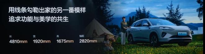 狂卖214万辆！销量超特斯拉44 倍！又一中国车企掀翻新能源红海(图10)