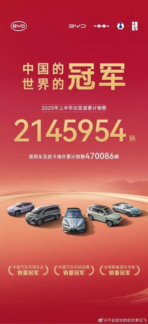 狂卖214万辆！销量超特斯拉44 倍！又一中国车企掀翻新能源红海(图20)
