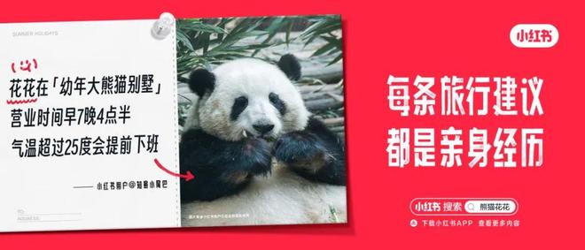 场景：广告→内容(图10)