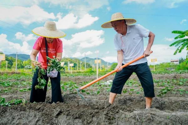 瑞众保险乡村振兴产业园开启第二季种植 “聚宝盆”里再迎“西瓜红”(图4)