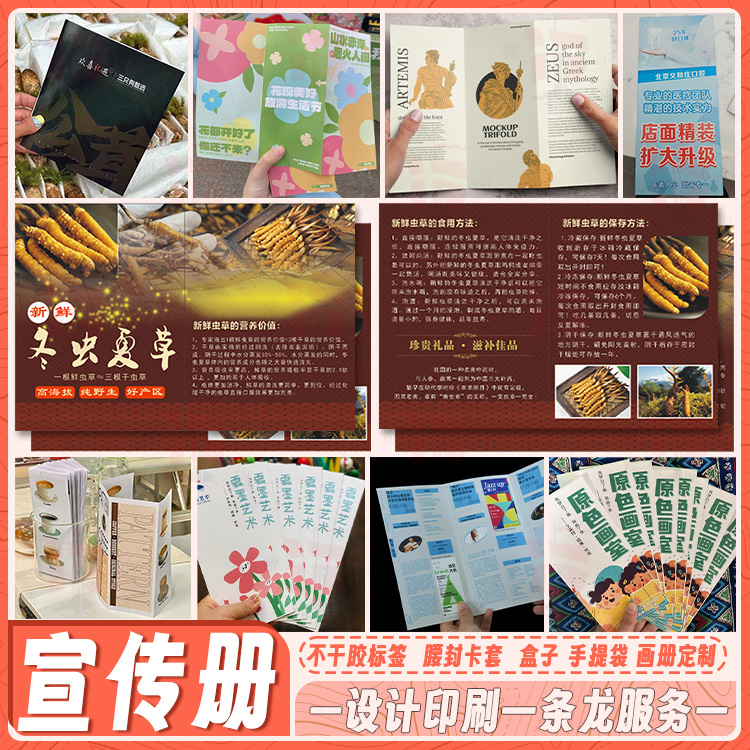 湖北宜昌：向“绿”向“新”要未来丨活力中国调研行(图1)