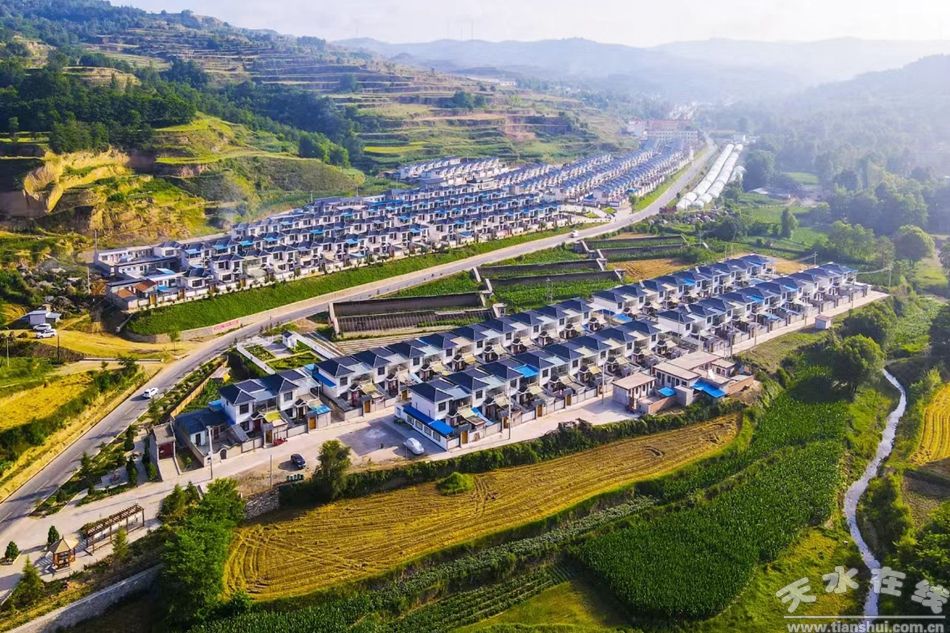 甘肃清水：粮稳业兴乡村美 清水县2025年农业农村工作综述(图1)