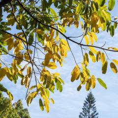 2024年中国专业音响排名(图2)