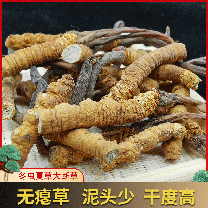 蘑菇最新资讯-快科技--科技改变未来(图1)