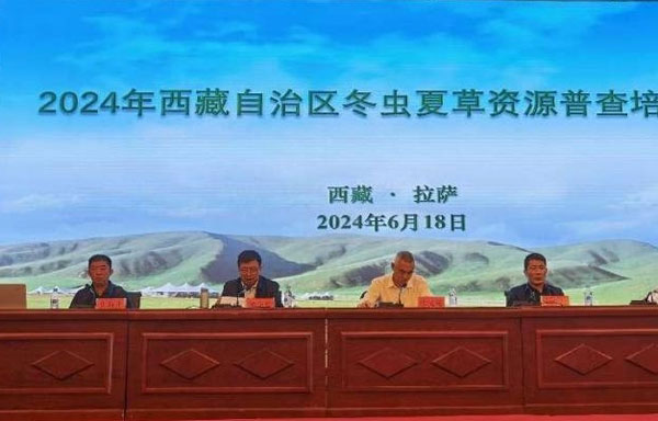 东营探路共富乡村的三重变奏(图1)