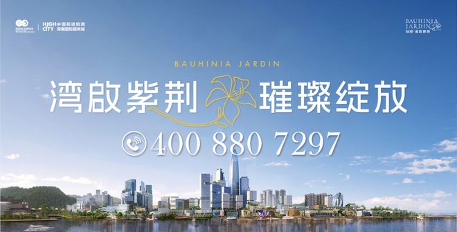 自贸湾啟紫荆府新规住宅+使用率近百+看山海景观(图2)