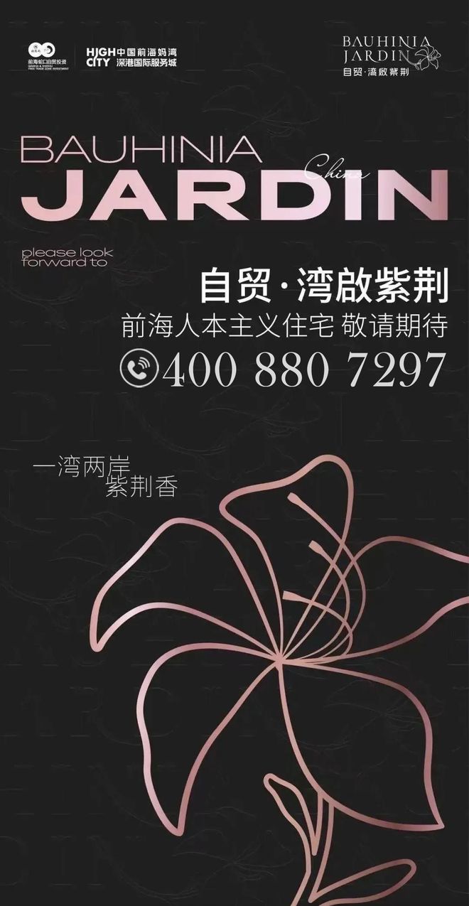 自贸湾啟紫荆府新规住宅+使用率近百+看山海景观(图4)