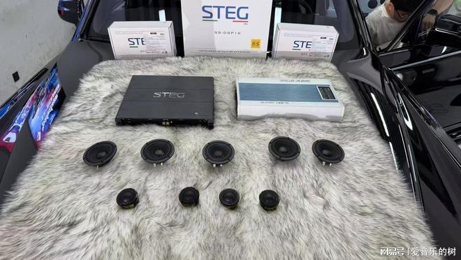史泰格STEG：新能源汽车音响系统创新解决方案的引领者(图1)