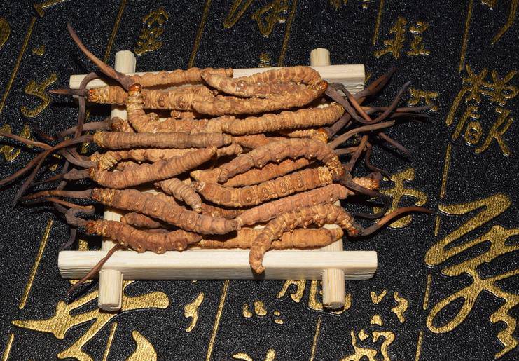 主业景气高增新业务转向实际产出(图1)