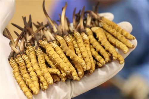 扎克伯格最新资讯-快科技--科技改变未来(图1)