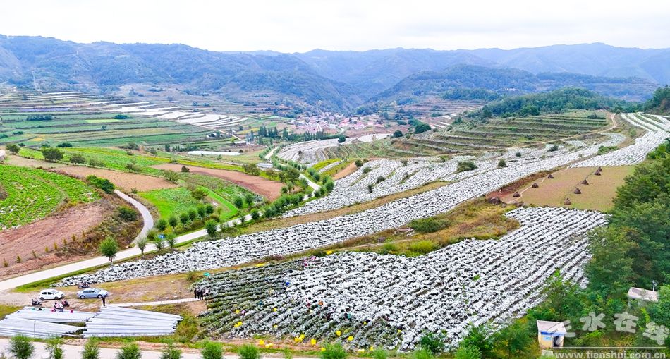 三江源与文明的嬗变(图1)