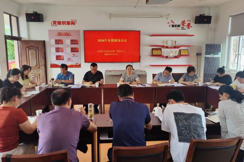 片区里 春光好｜科技赋能 农业更现代(图1)