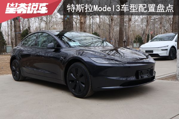 特斯拉Model 3车型配置盘点：入门级最受欢迎(图1)