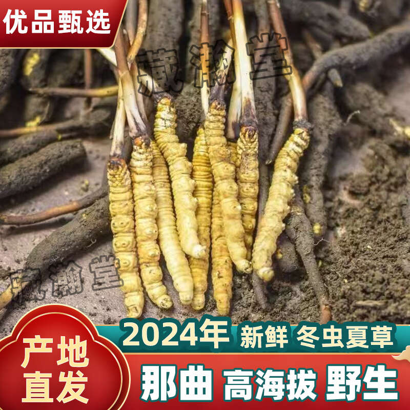 河北安国：“千年药都”烹出药食同源新滋味(图1)