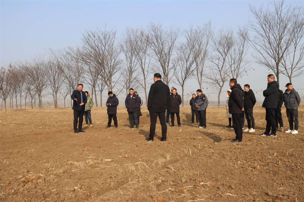 业绩拐点现发力虫草新征程(图1)