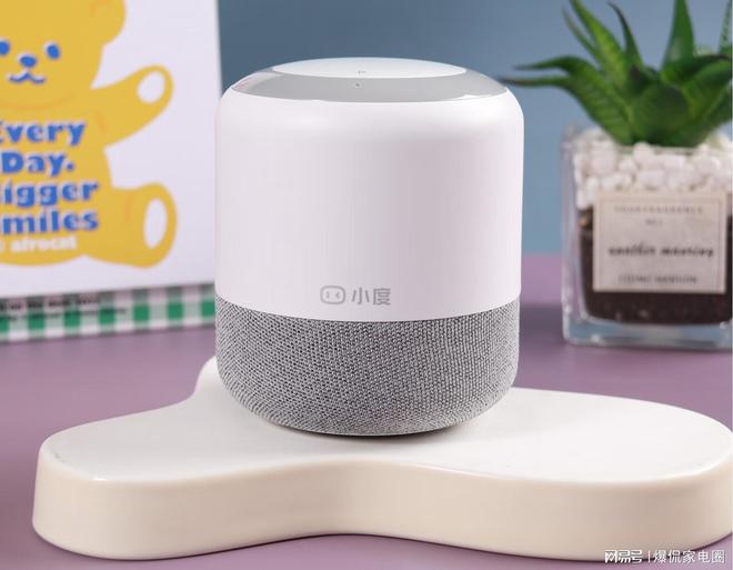 智能音箱选购攻略怎么选才不踩坑？2025年最值得买的2款音响推荐(图1)