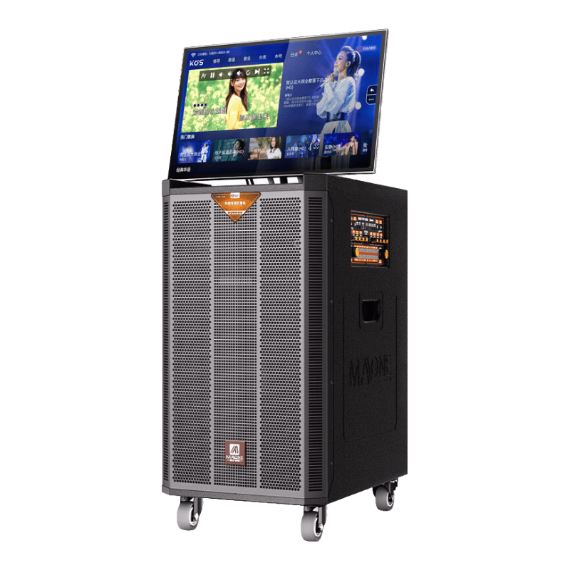 2024音箱品牌排行榜前十名及不同场景下的最佳选择(图2)