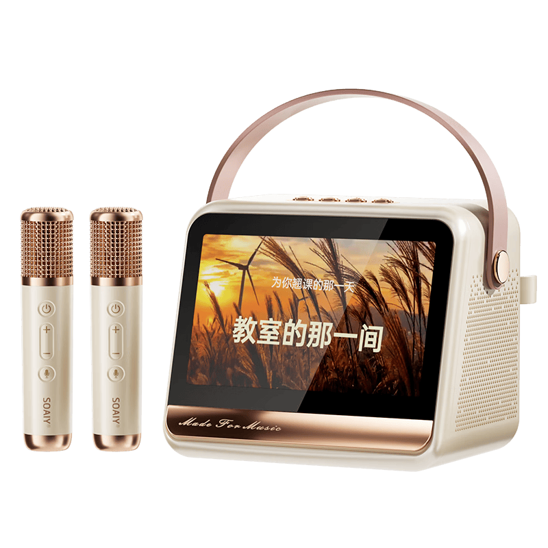 深入分析索爱音响：选择最适合你的型号(图2)