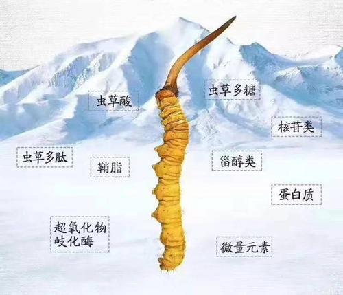 西北农林科技大学最吃香的5个专业毕业就业不用愁(图1)