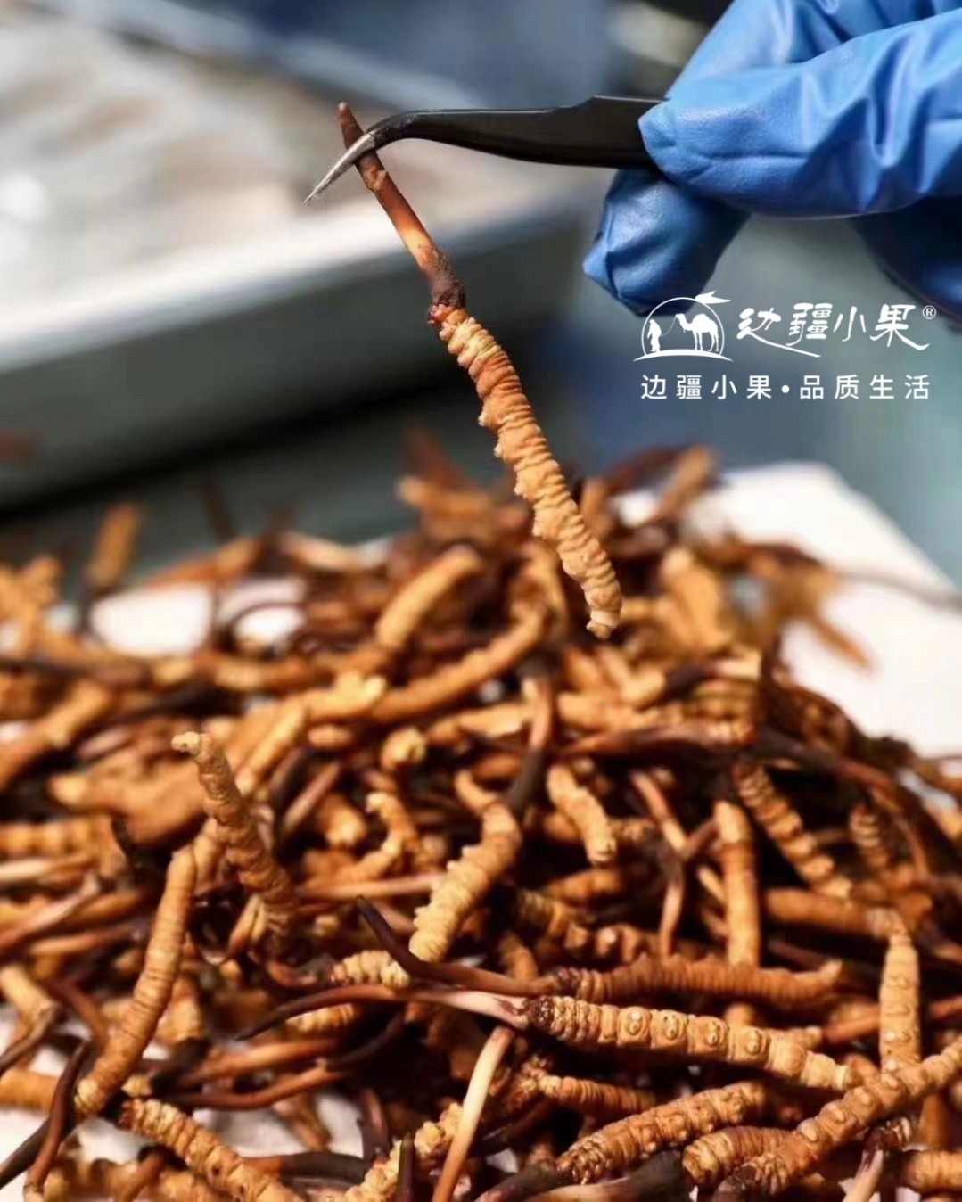 看春管里的“科技范儿”(图1)