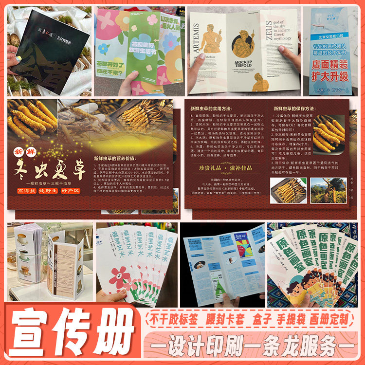 药培虫草及其栽培方法和用途的制作方法(图1)