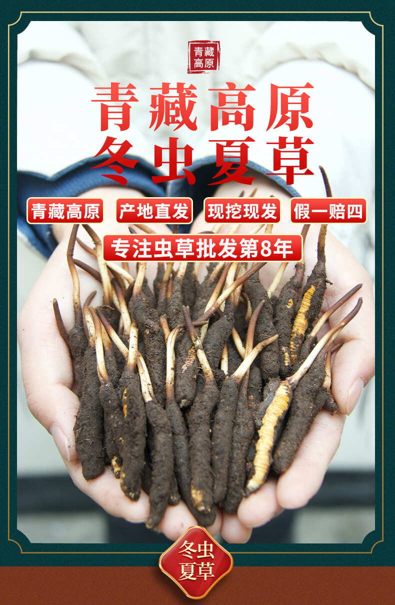 帐篷里的“超级奶爸”(图1)