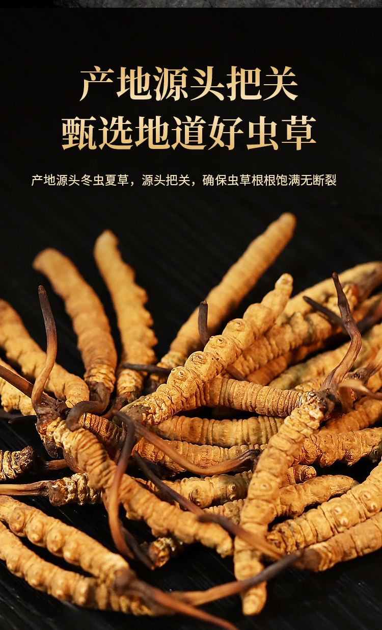 人工培育冬虫夏草研究ξpdf(图1)