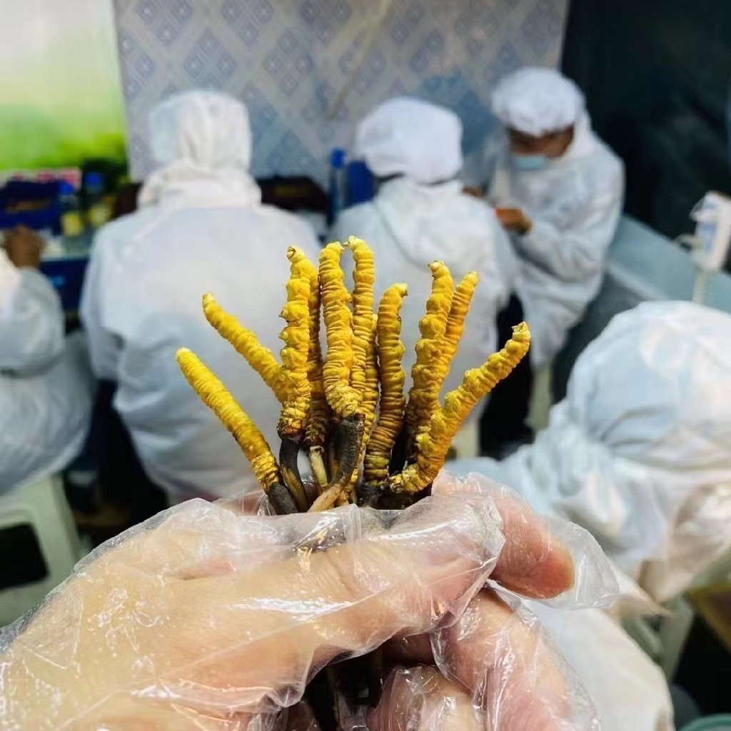 兰升生物三年分红177亿：拟募资4亿补流产能利用率波动分化(图1)